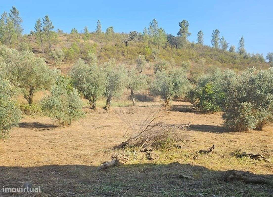 Moradia T2 para venda - Grande imagem: 4/26