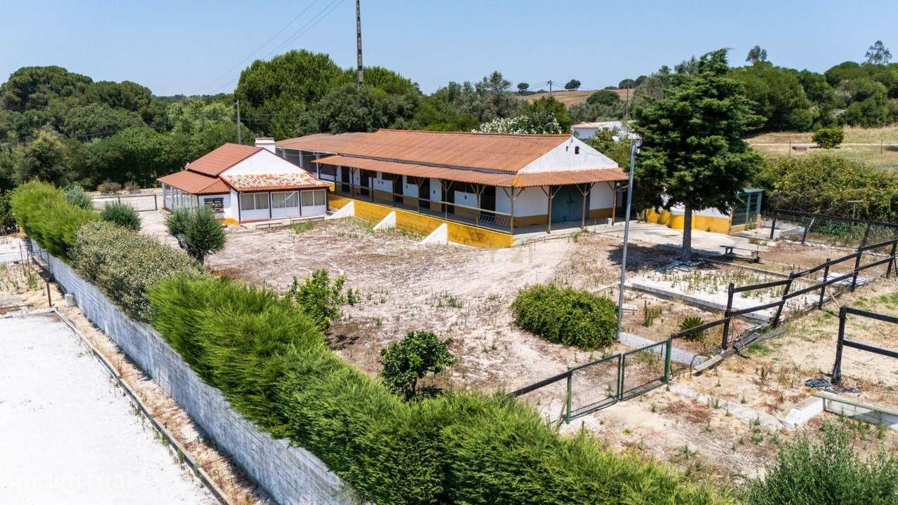 Quinta Equestre a 45 minutos de Lisboa-6