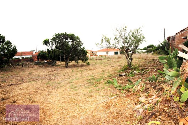 Moradia para reconstruir com terreno em Coimbrão-2