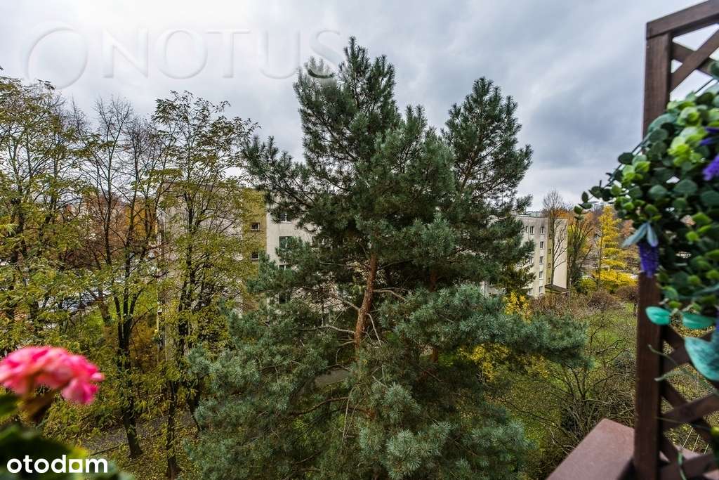 widok na zieleń/2pok osobna kuchnia/parking-4