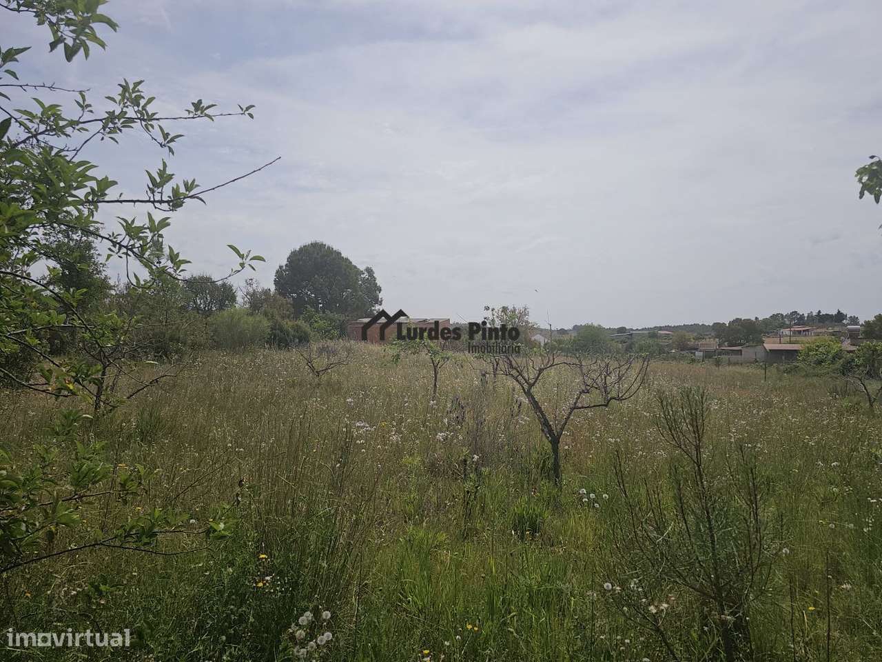 Quinta perto de Castelo Branco-13
