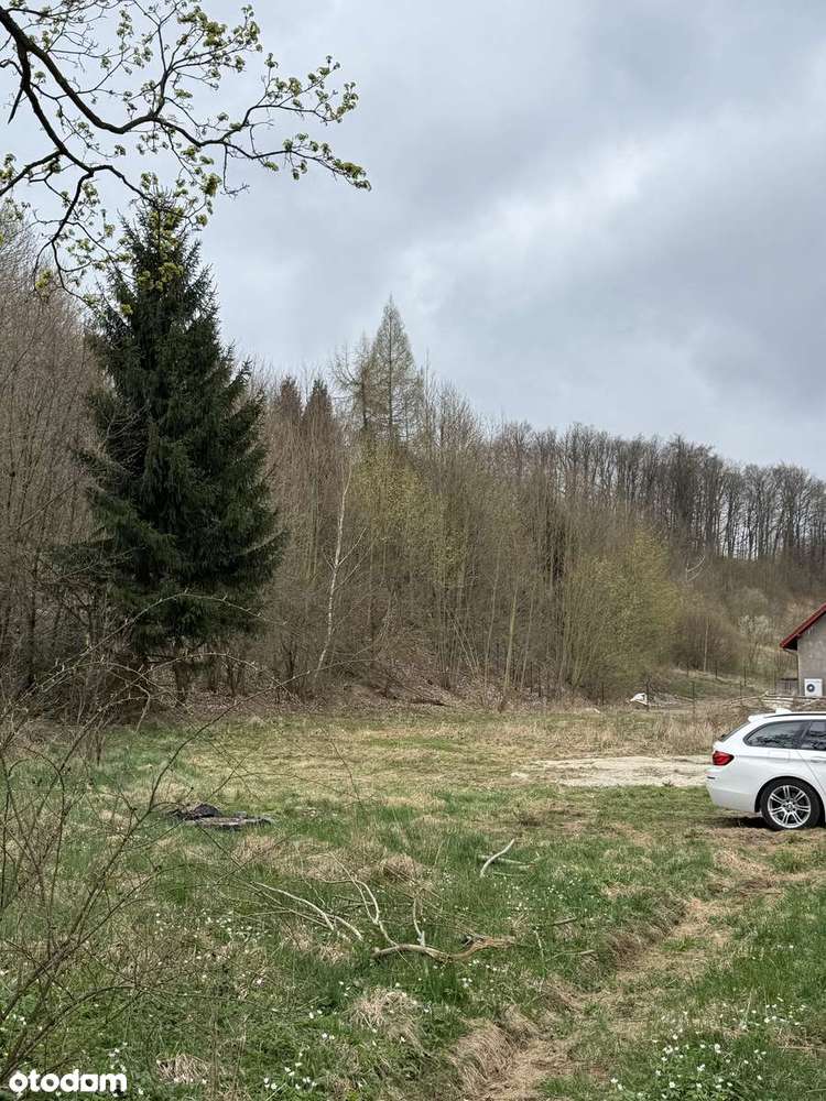 Działka z warunkami zabudowy - las, dostęp do drogi. Inwestycja.-3