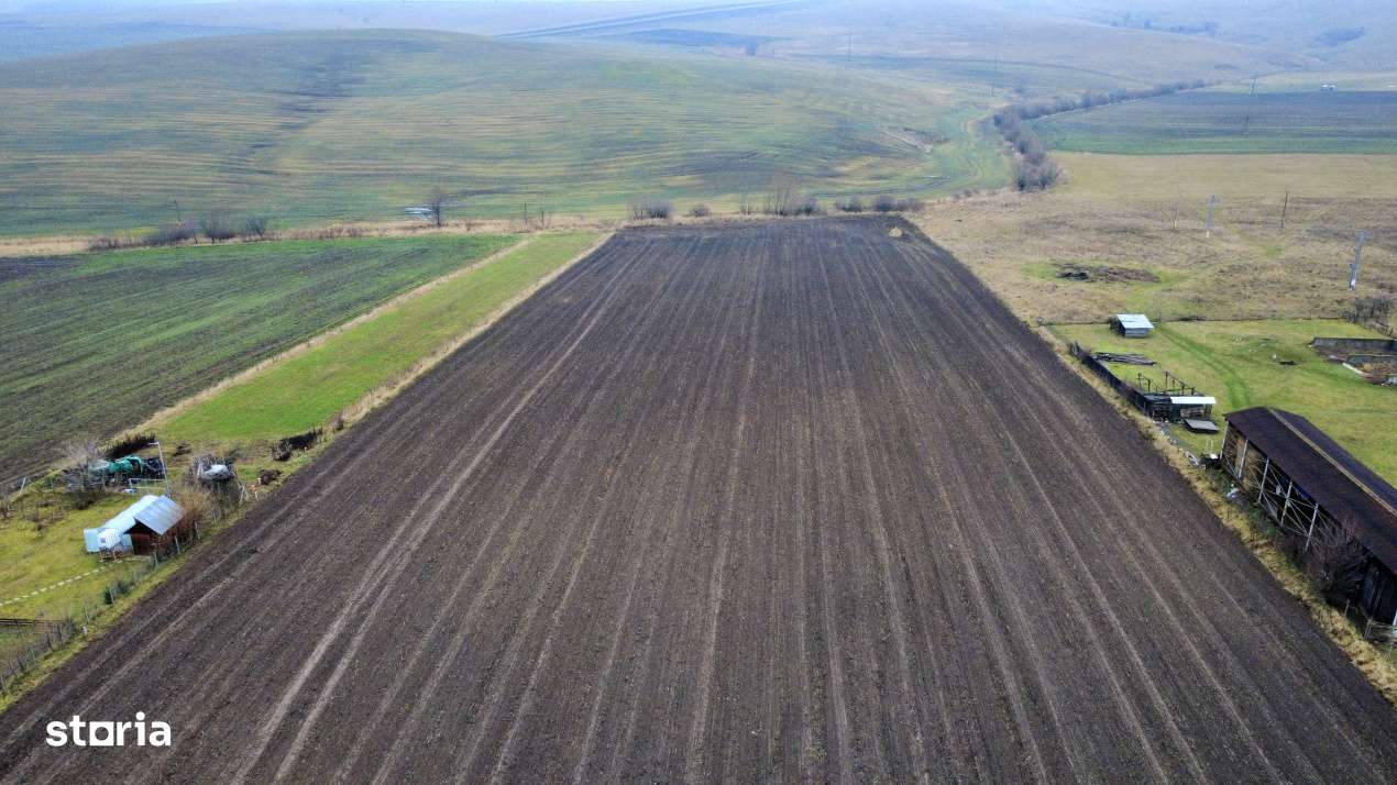 Teren 8.400 mp Negresti – ideal gospodarie, ferma, natura si liniste - Imagine principală: 5/9