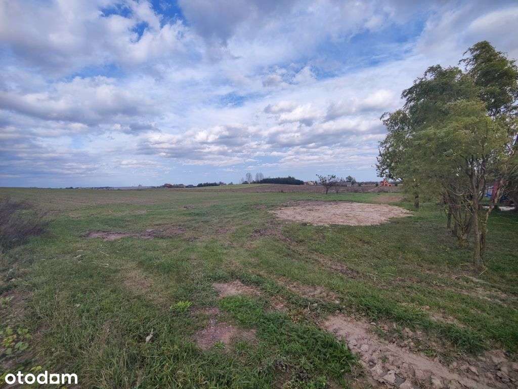 Na sprzedaż działki budowlane -Lisewo, gm. Skulsk - Pełny obrazek: 4/9