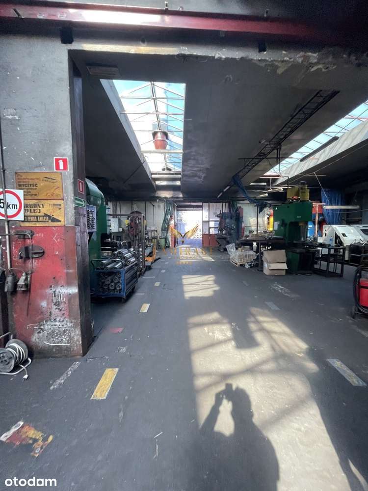 Hala Magazynowa/ produkcyjna - Pełny obrazek: 4/7