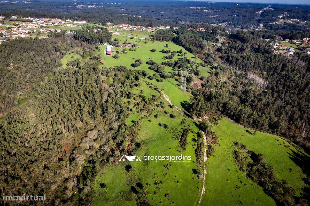 Magnifica Quinta em Zona Tranquila - Grande imagem: 4/40