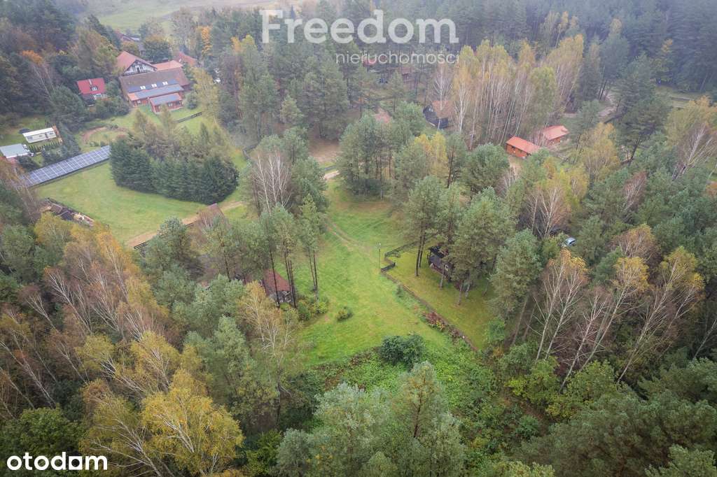 Działki inwestycyjne nad jeziorem – Warmia - Pełny obrazek: 5/10