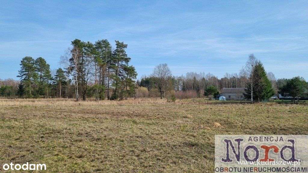 Atrakcyjna Cena ! Strękowizna, Działka - Pełny obrazek: 4/6