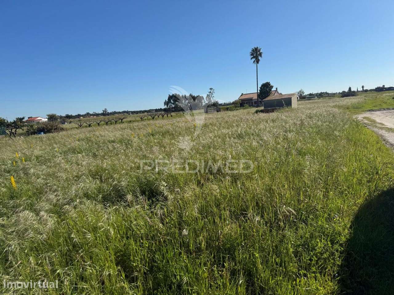 Terreno Misto a Venda - Grande imagem: 3/6