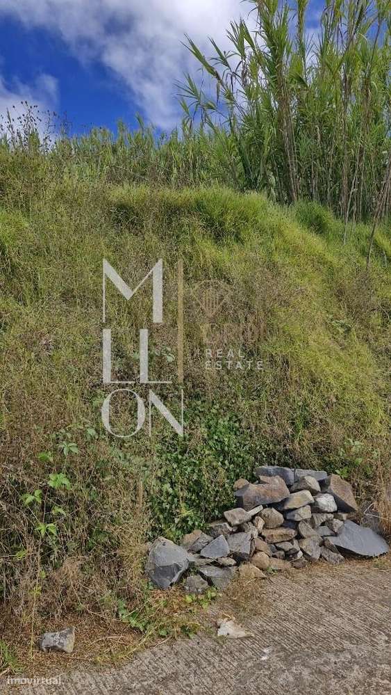 Terreno Fajã da Ovelha - Grande imagem: 4/6