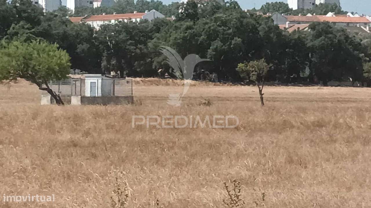 Venda Terreno Barreiro - Baixa da Banheira - Grande imagem: 4/24
