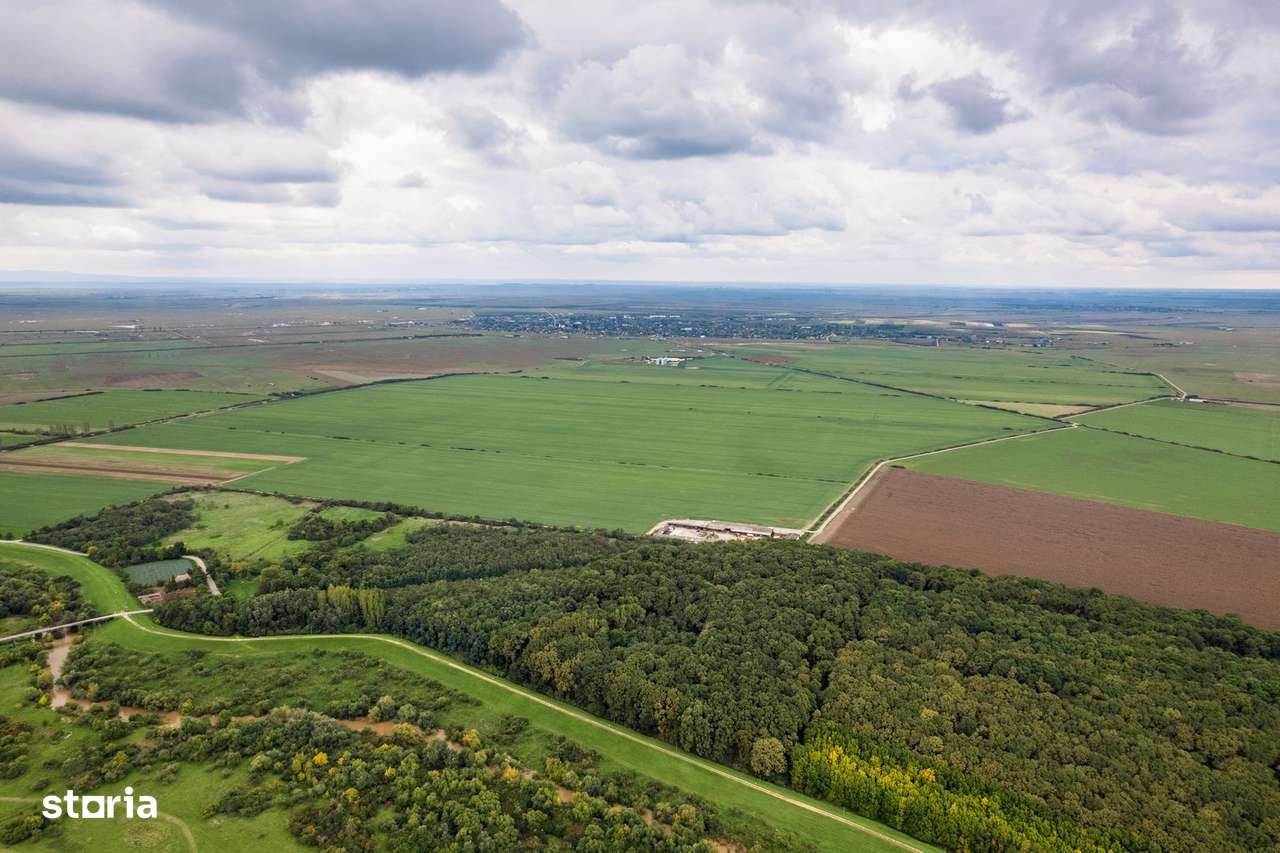 Teren 1584 Hectare pe lunca Mureșului - Imagine principală: 2/3