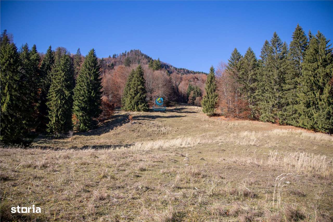 Teren de Vis langa Siriu  – 20000 mp ideal pentru Complex turistic Com-17