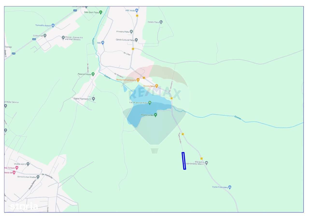 Teren intravilan de vânzare,Paleu, cu panoramă asupra lacului, 3762 mp - Imagine principală: 1/4