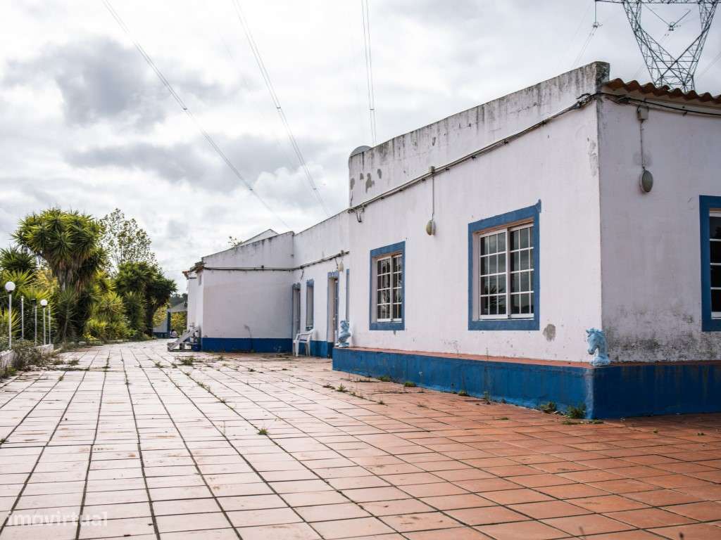 ** Fantástico Monte Alentejano com 50.000m2 Próximo a Maravilhosa C...-42