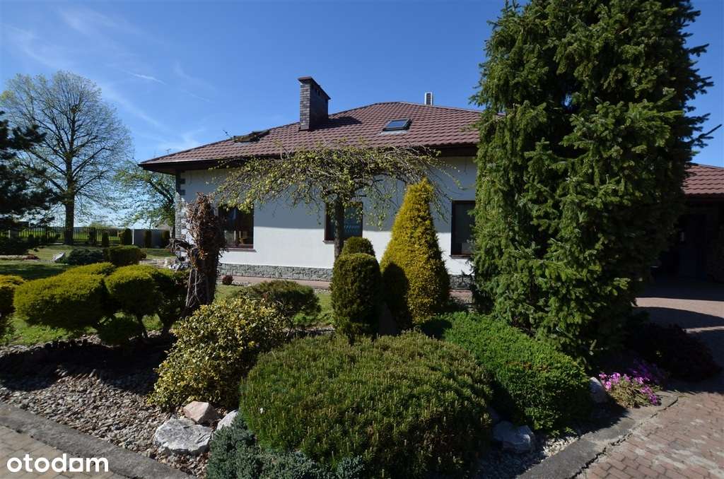 Dom jednorodzinny z basenem i domem dla gości - Pełny obrazek: 4/20