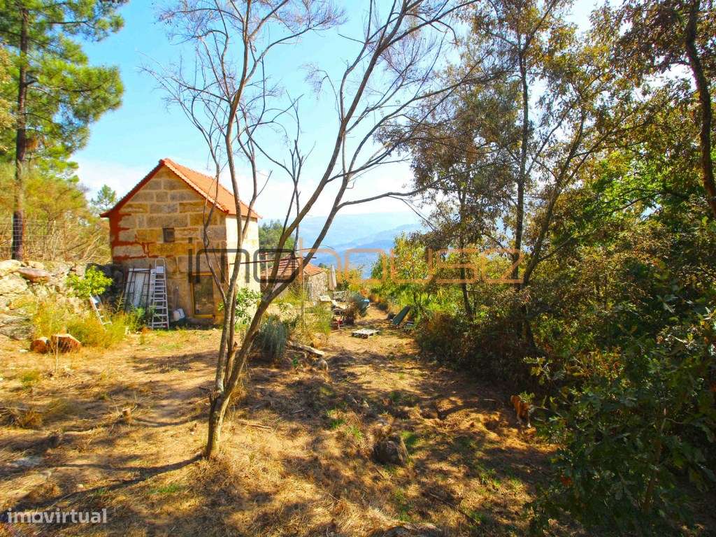 Quinta 2,6ha - Vista panorâmica e várias edificações-16