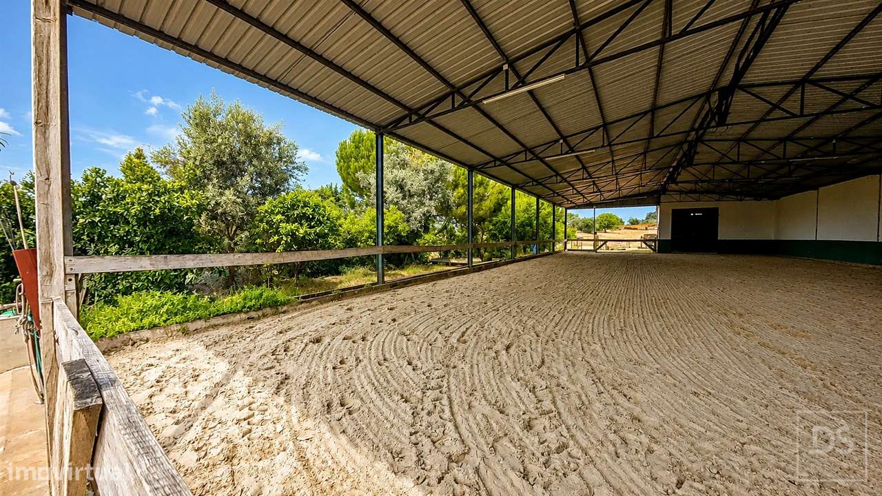 Quinta T7 Venda em Achete, Azoia de Baixo e Póvoa de Santarém,Santarém-2
