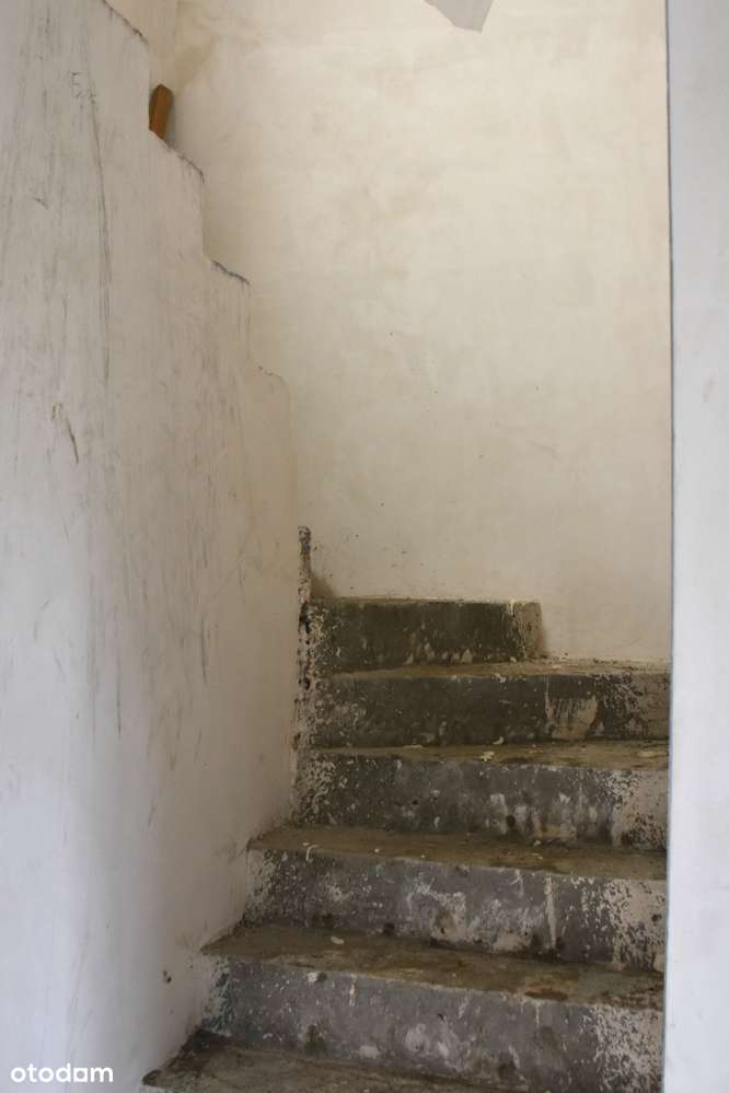 5 pokoi, garaż, ogród-7