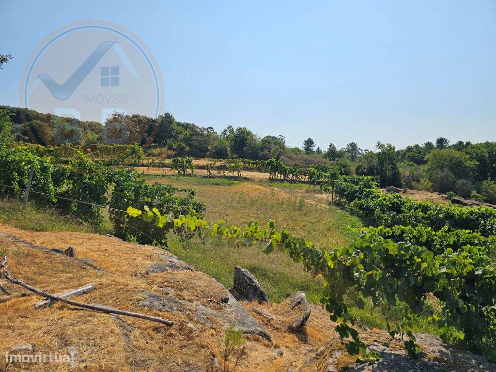 Quinta com Moradia T4 em Leiradas, Rio Douro - Cabeceiras de Basto-59
