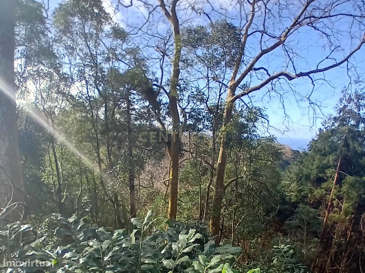 Terreno Rústico de 2860m² nos Fenais da Ajuda – Oportunidade de Invest - Grande imagem: 2/9