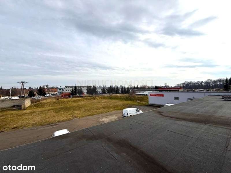 Hale/lokale produkcyjno-handlowe/ul. Staszica-1