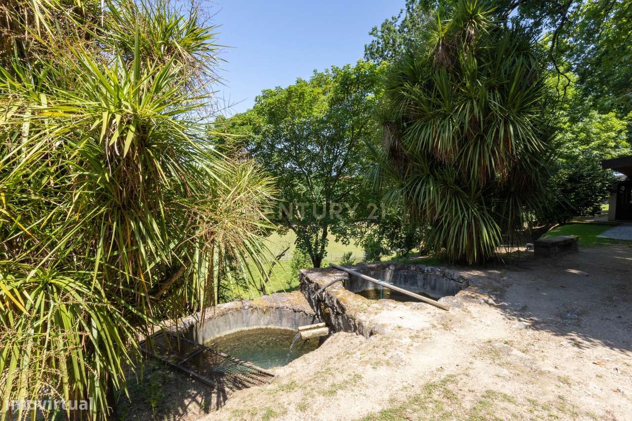 Quinta de Luxo de Vinho e Natureza com Potencial de Expansão perto do-30