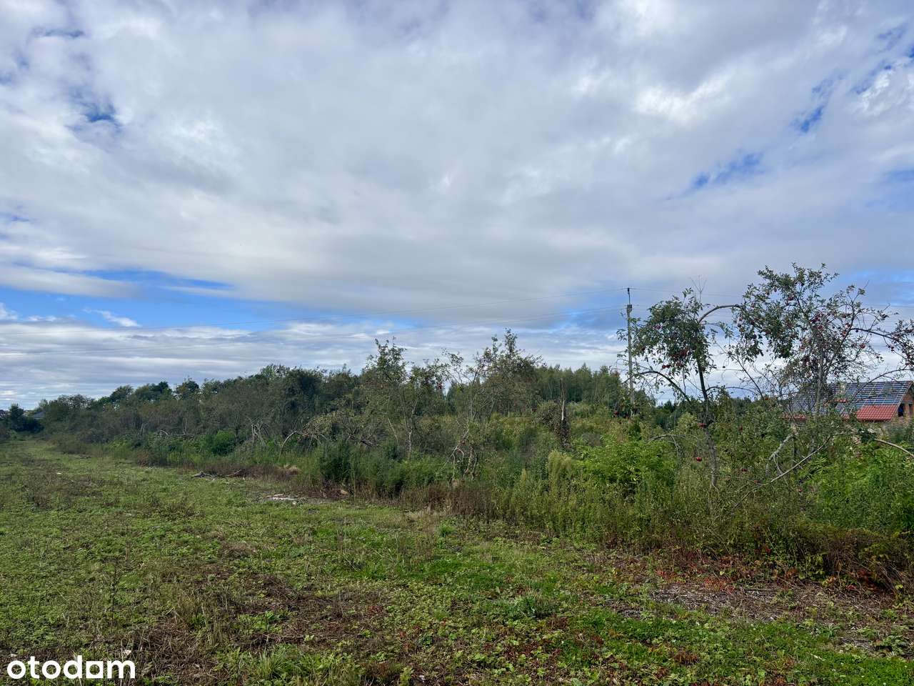 Piękna DZIAŁKA - możliwość wyboru działek i innego podziału - Pełny obrazek: 4/6