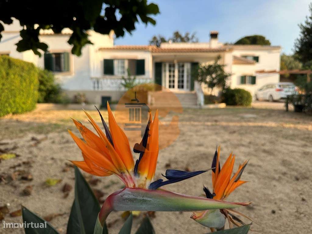 Magnifica moradia de campo T7 inserida num lote de terreno de 12000... - Grande imagem: 4/60