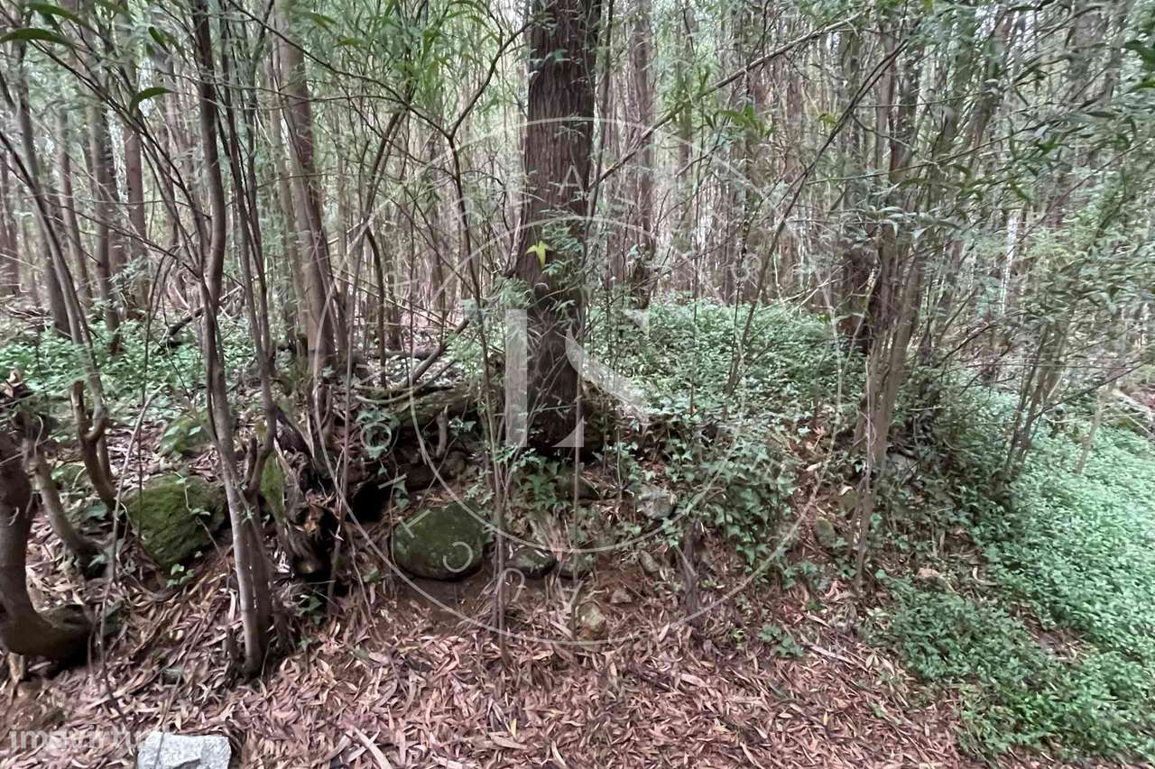 Prédio Rústico na Trofa - Grande imagem: 2/8