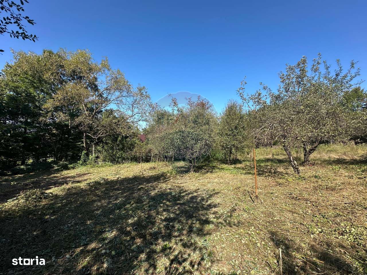 TEREN cu priveliste si liniste - Coruia - Imagine principală: 4/9