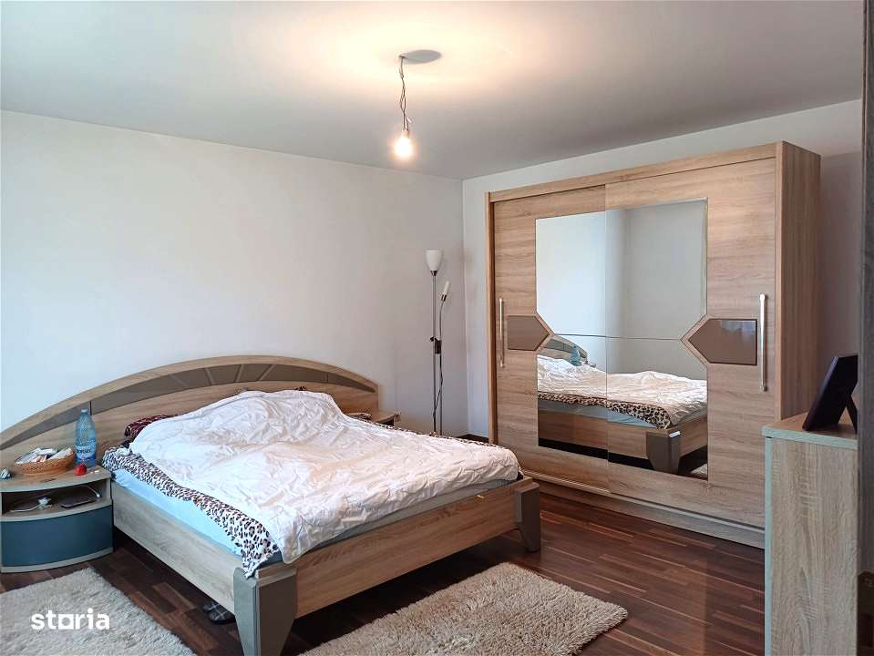 DOUA CASE DE VANZARE LA TALMACIU-8