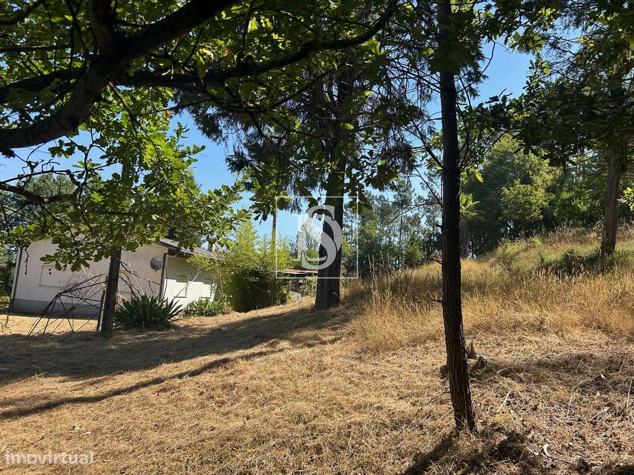 Quinta com 24.300m² em Vale de Açores, Mortágua-58