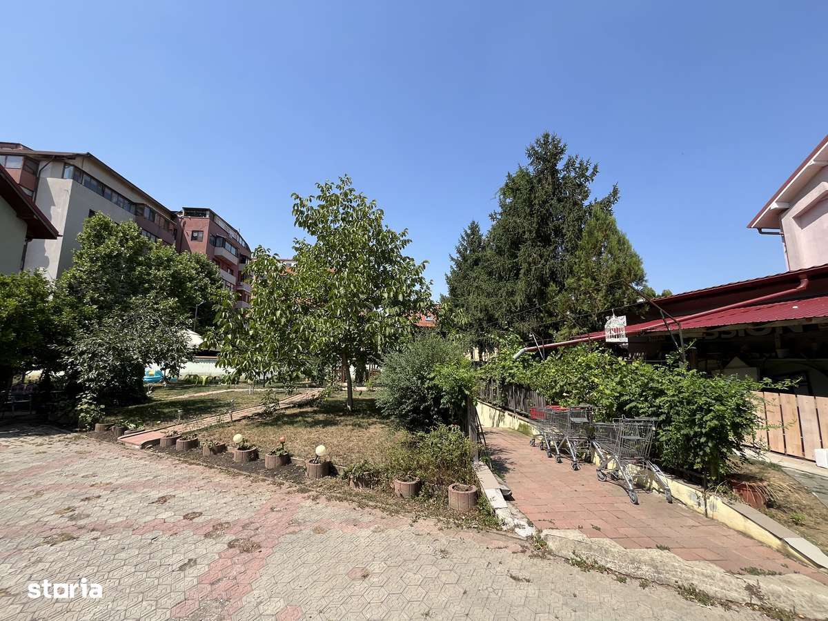 Vila 10 camere + / Valea Oltului / 620 mp utili / 2190 mp curte - Imagine principală: 2/20