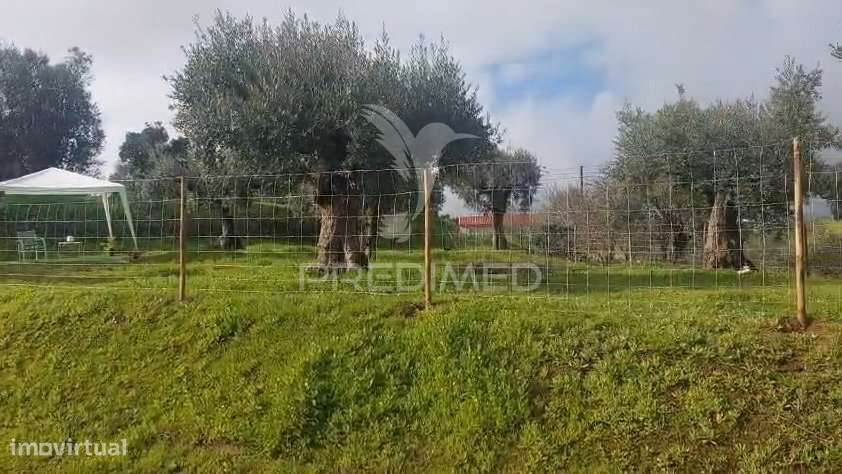 Terreno Rústico com viabilidade de construção – Lapinha, Praia do R... - Grande imagem: 4/6