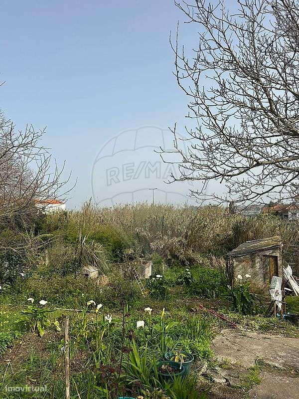 Moradia T3 para venda - Grande imagem: 3/3