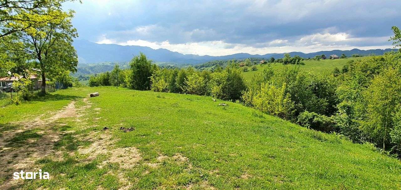 Teren casa de vacanta , Pestera , Brasov-9