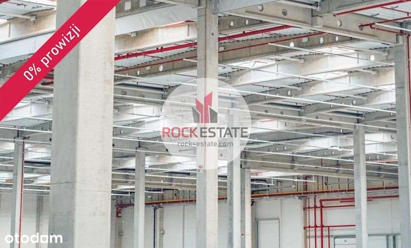 Magazyn w Rudzie Śląskiej od zaraz - 4400 m2 - Pełny obrazek: 4/8