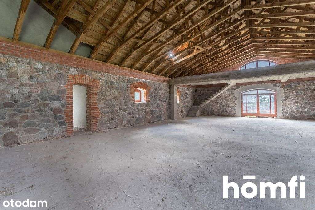 Pałac w stanie deweloperskim - Pełny obrazek: 4/20