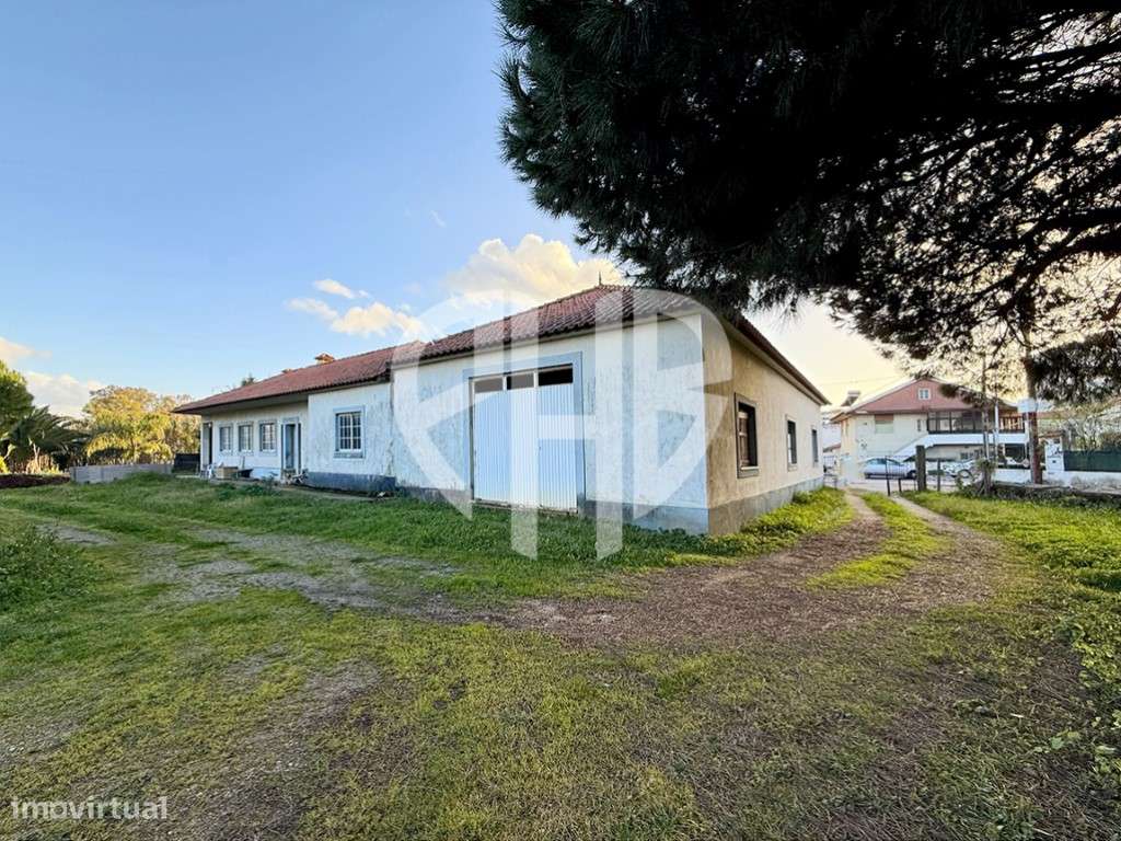 Moradia T3 + Área Terreno 4.150m2 + Atracadouro // P/Recuperar-34