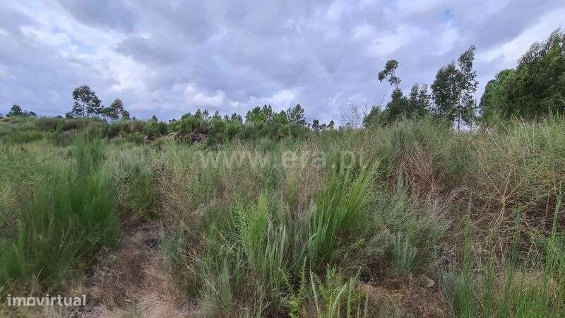 Terreno / Marco de Canaveses, Soalhães - Grande imagem: 3/9