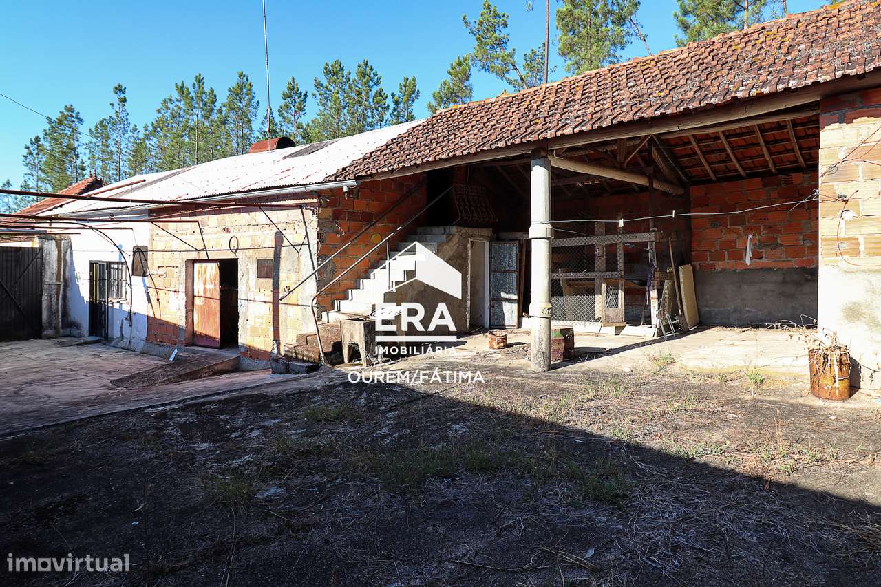 Moradia T3 implantada num terreno com 3.855m2 em Casal Domingos João-18