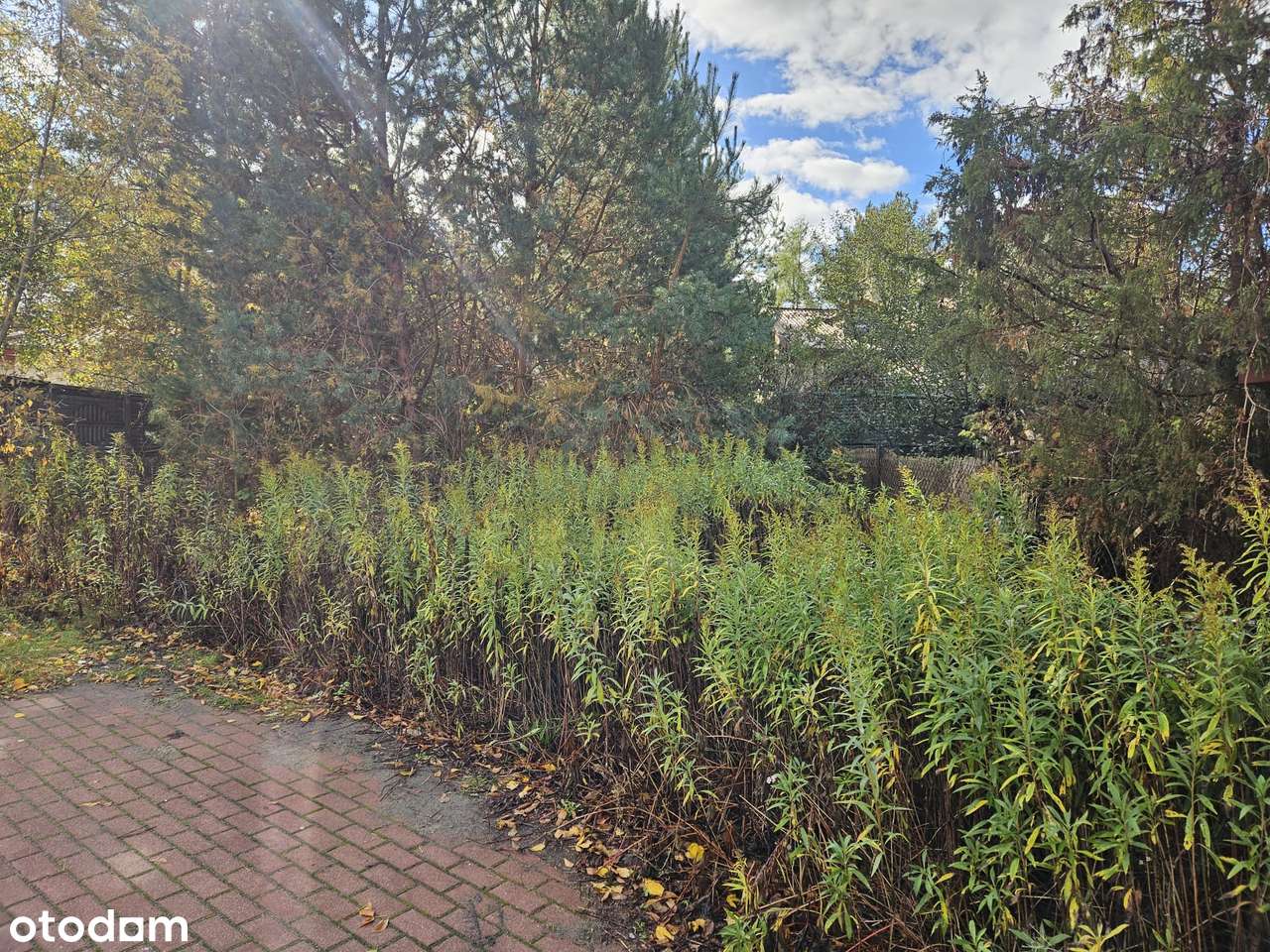 działka budowlana Izabelin Truskaw-1