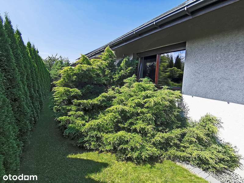 Parterowy dom blisko centrum miasta-18