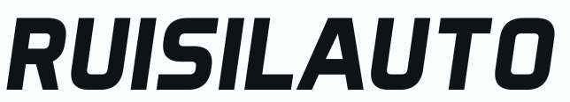 RuiSilauto logo