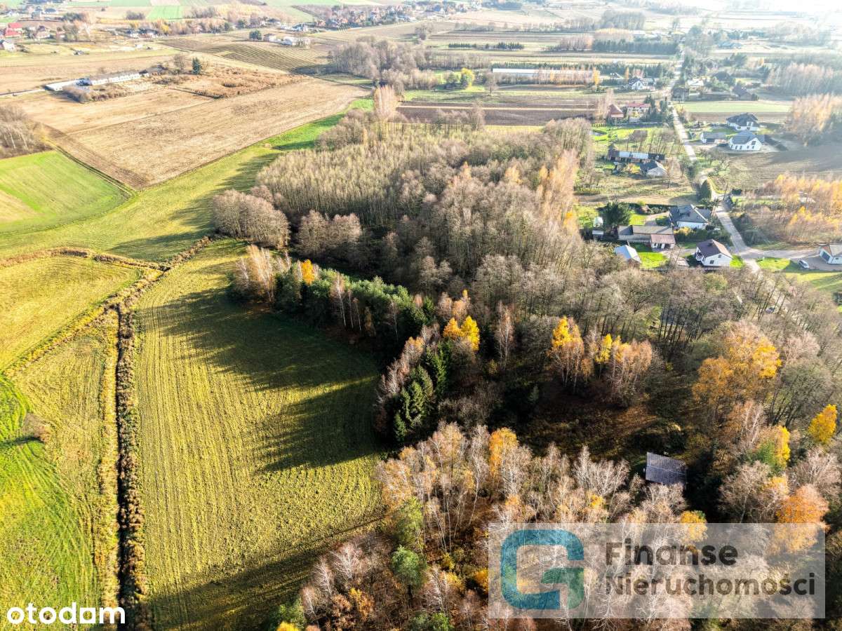 Działka budowlano-rolna w spokojnej okolicy - Pełny obrazek: 4/9