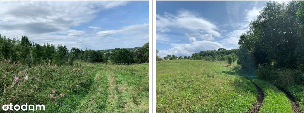 przetarg na sprzedaż działki o pow. 44.045 m2, Iłownica - Pełny obrazek: 5/5