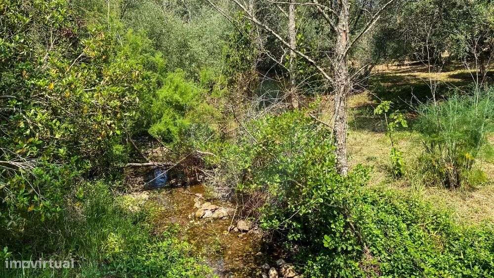 Quintinha no Vale das Cercas - Grande imagem: 5/30