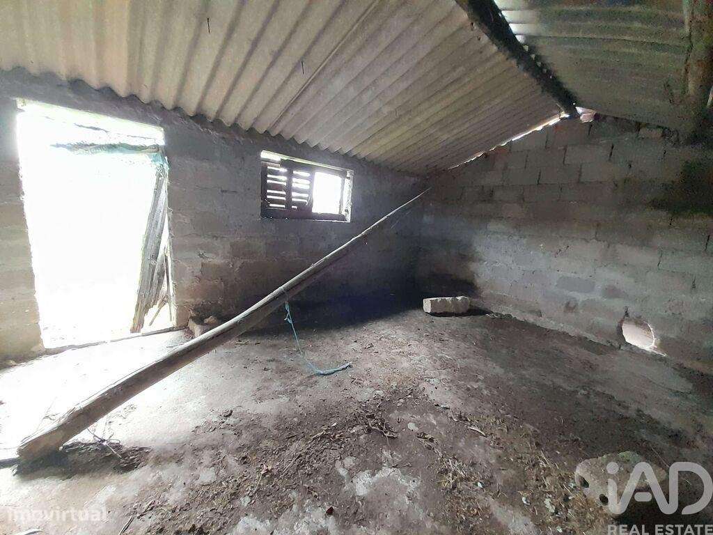 Terreno em Tocha - Grande imagem: 5/5