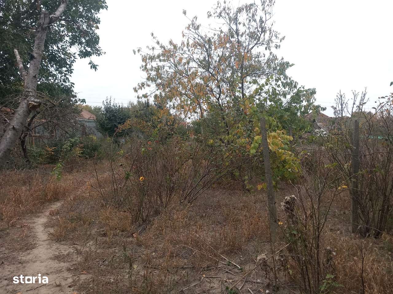 Casa de vanzare in Chisineu - Cris-11